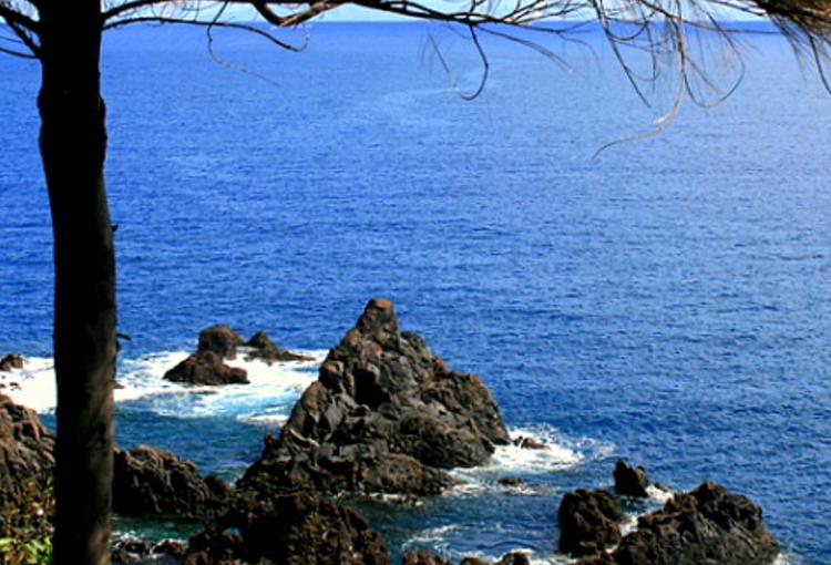 ationpiphr's profile banner image