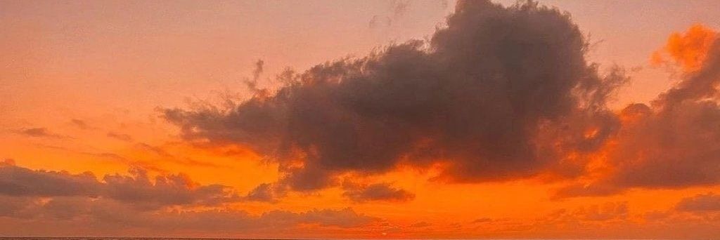 VioletaAdamoli's profile banner image