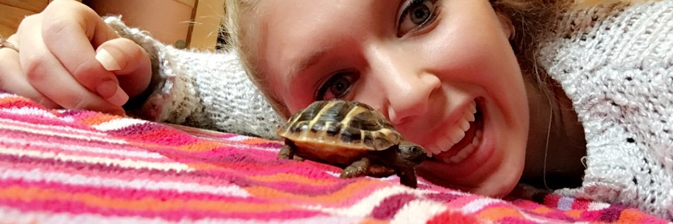 zograhamm's profile banner image
