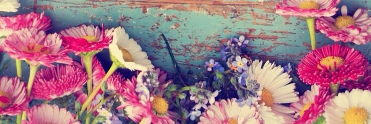 kellyann605's profile banner image