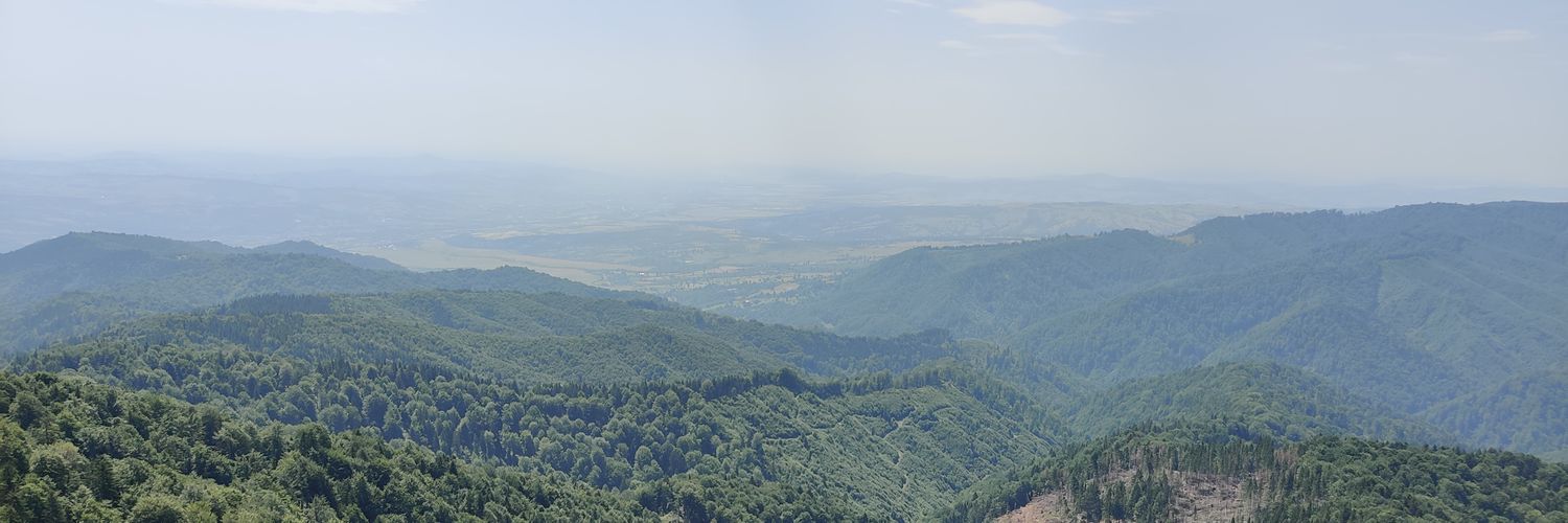 ButaOvidiu's profile banner image