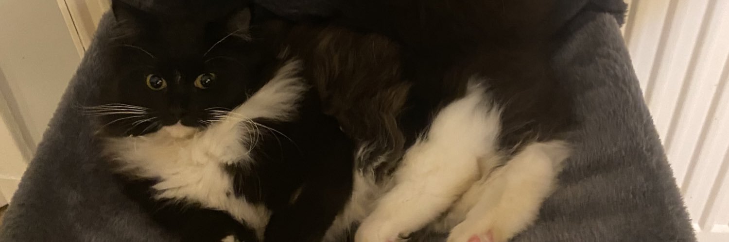 SempleMarie's profile banner image