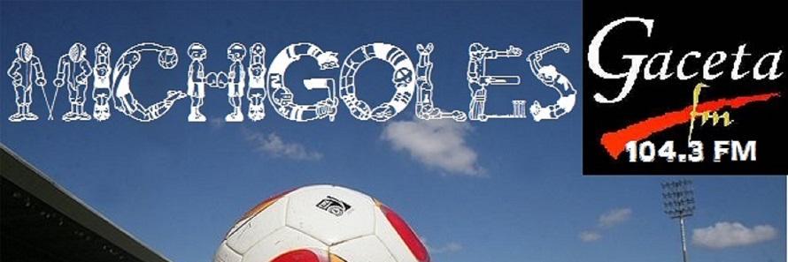 Michigoles banner