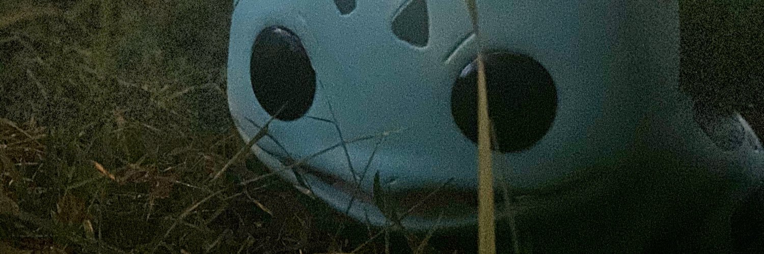 ZEpperly's profile banner image