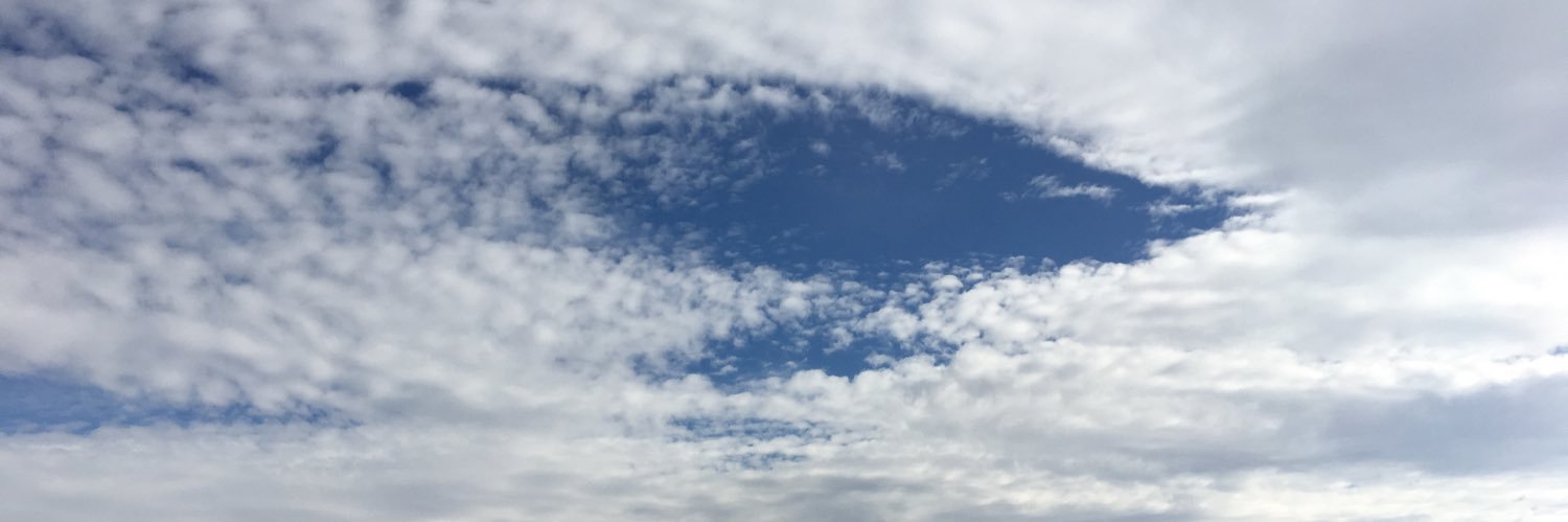 lahmacuns's profile banner image