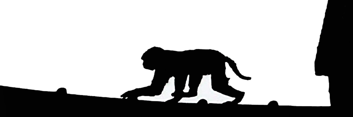 celluledecrise's profile banner image