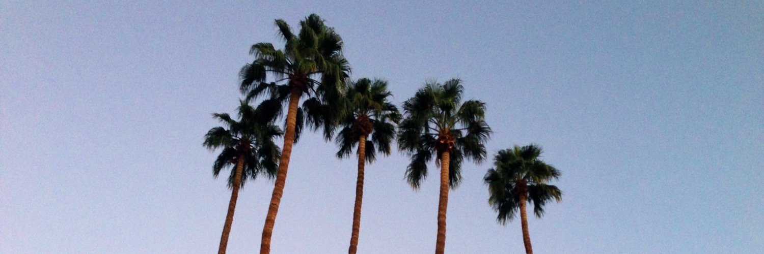 brookewexler's profile banner image