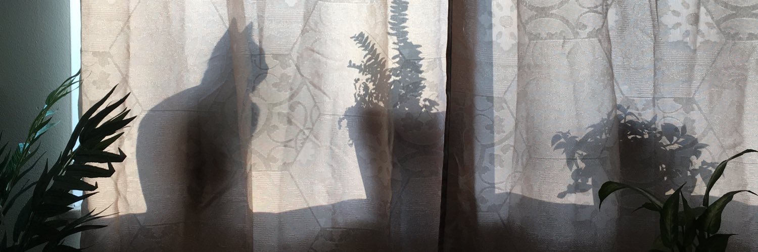 babedrienne's profile banner image