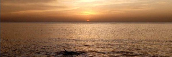 moorekwesi Profile Banner