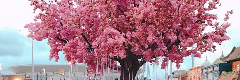 thaissss_lima's profile banner image