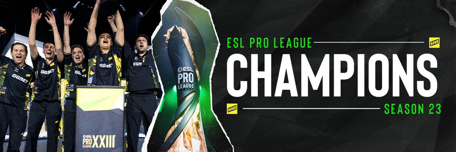 ESL Counter-Strike banner