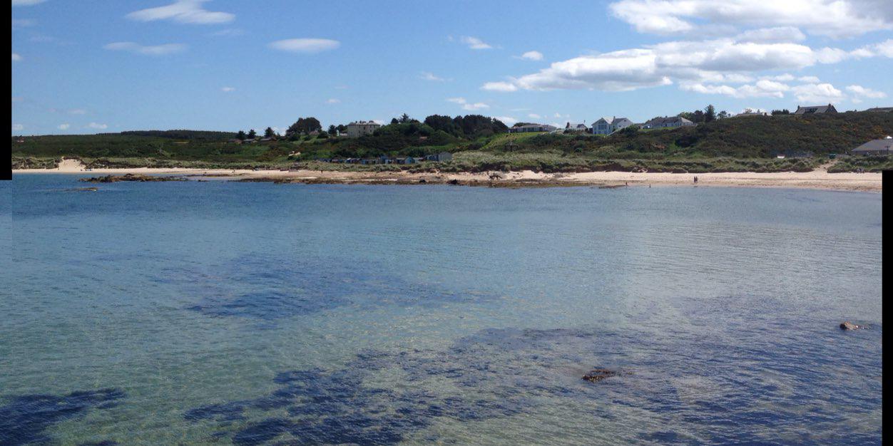 Ailsa Stinson banner