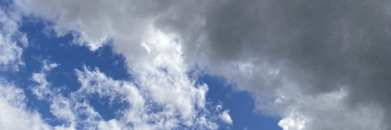 Mentailimon's profile banner image