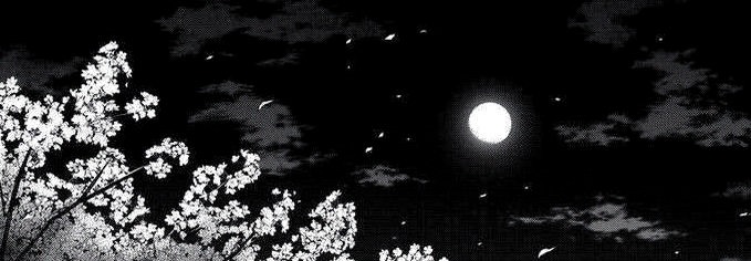 fluffluuna's profile banner image