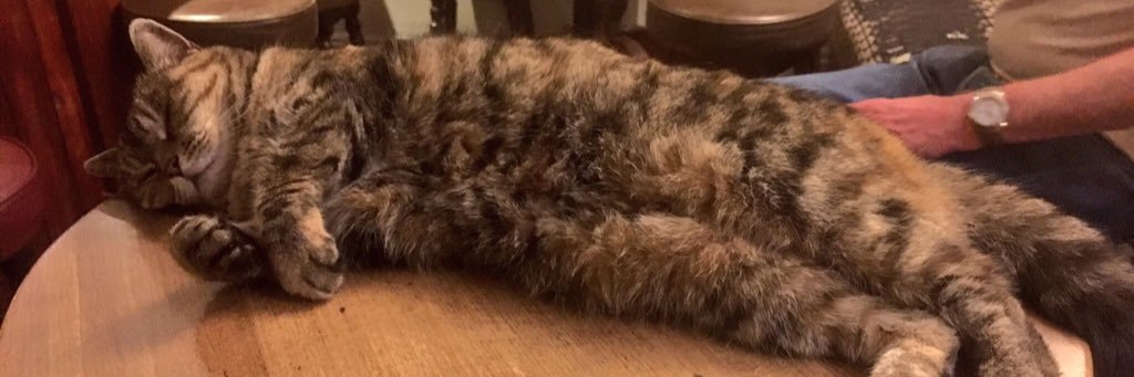 GeriPubCat's profile banner image