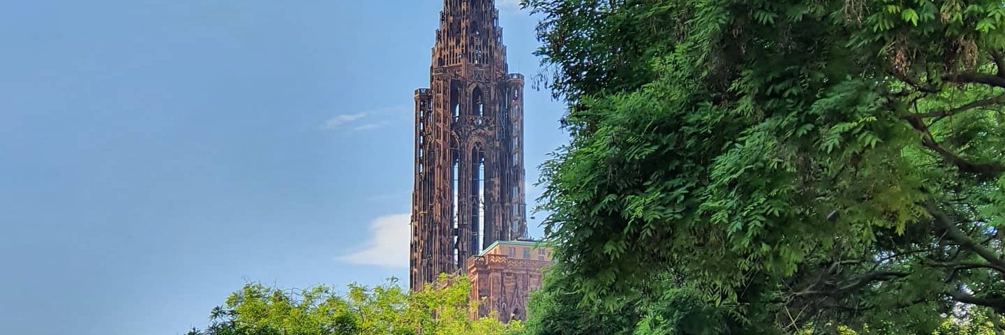 sᴇ́ʙᴀsᴛɪᴇɴ ʟᴇᴛᴛ 🇲🇫 banner