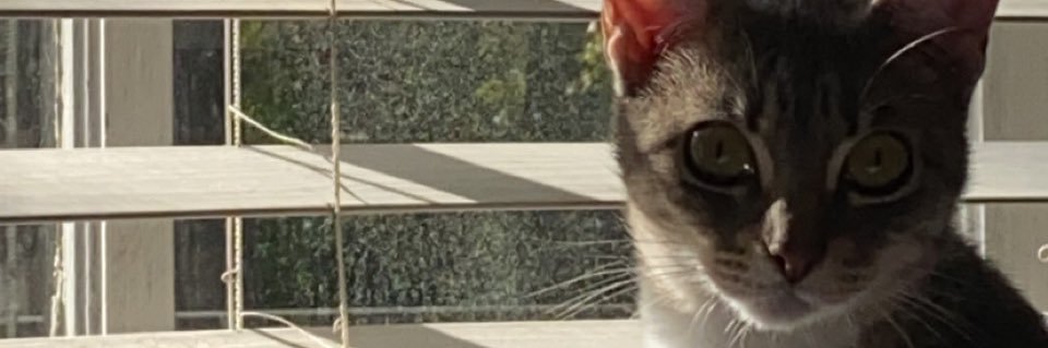 puckmcbrayer's profile banner image