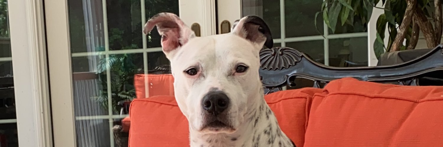RickyProsnit's profile banner image