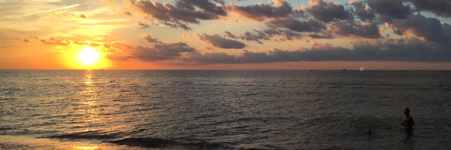 FrannyVincent's profile banner image