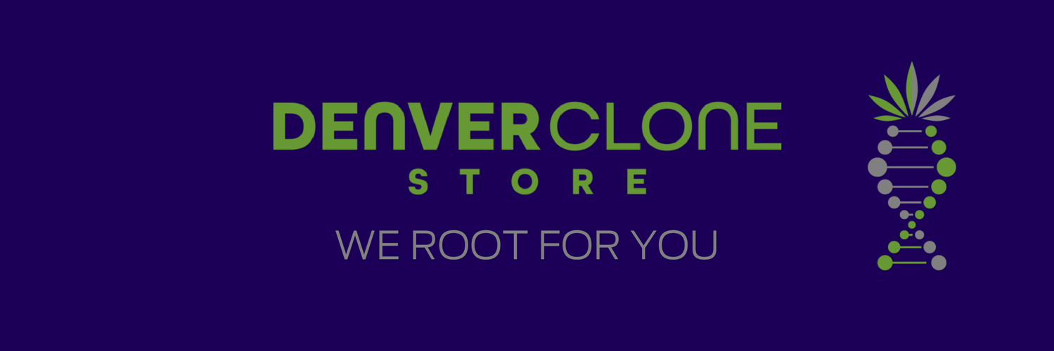 DNVRclonestore's profile banner image