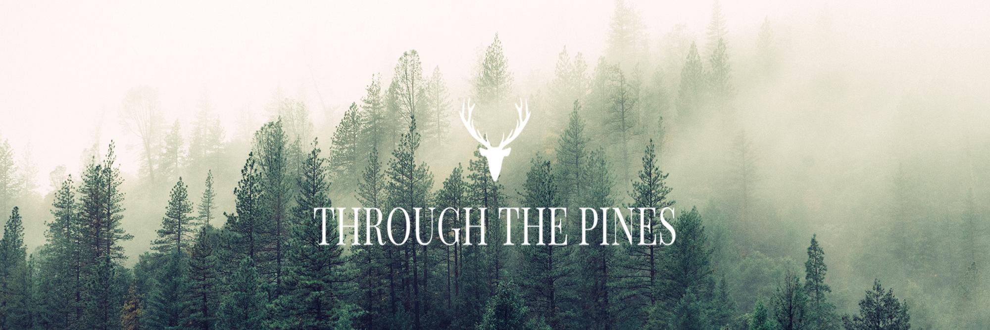 TTPines's profile banner image