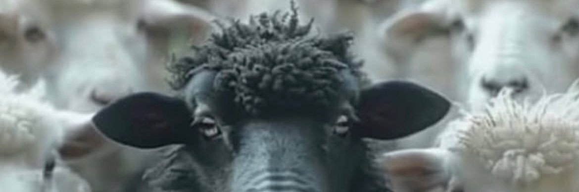TwoFive banner