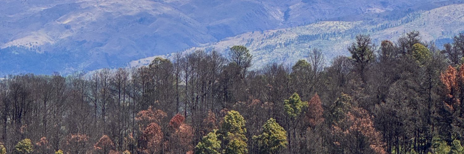 hernanebaigo's profile banner image