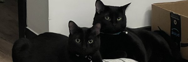 BleedBlue1986 Profile Banner