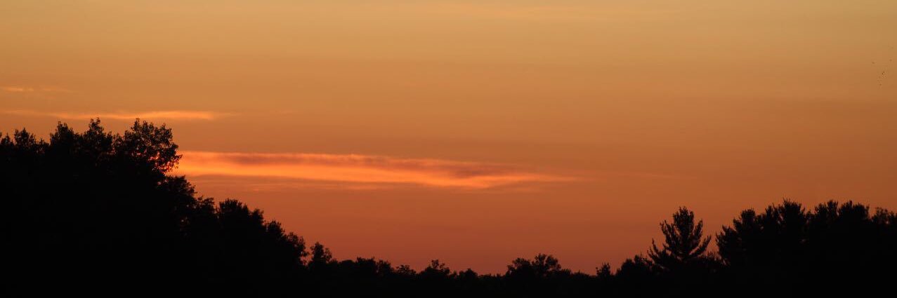 fuzzyturtle2662's profile banner image