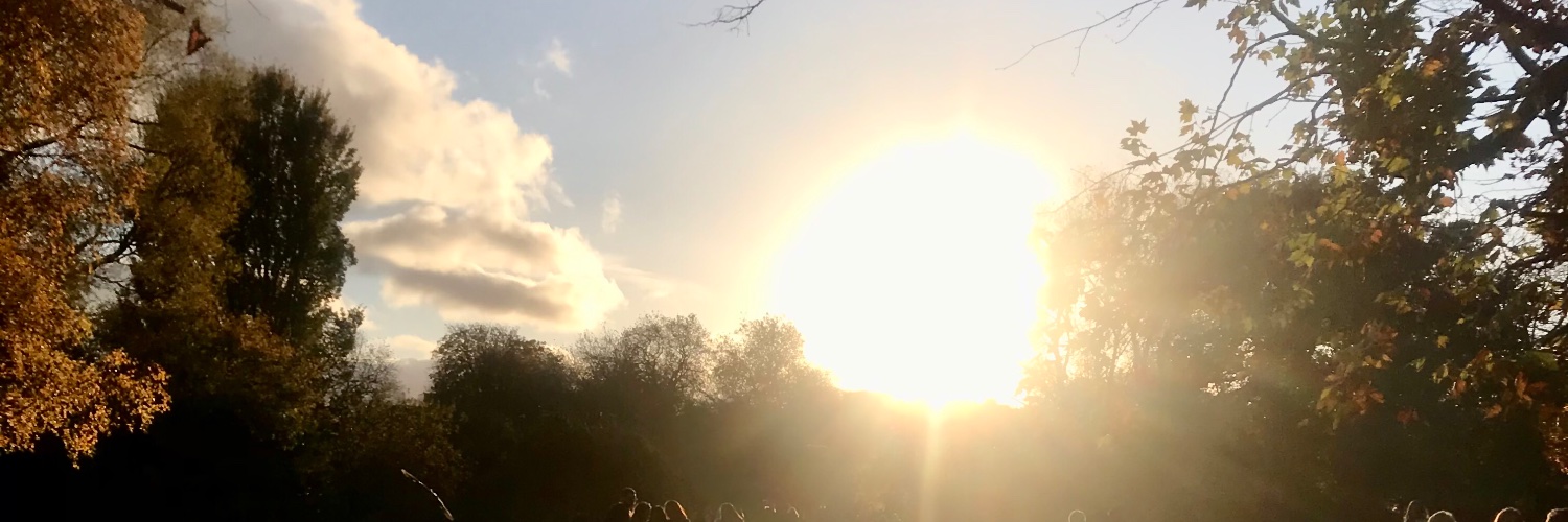 amyruane1's profile banner image