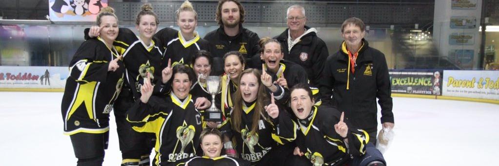 Chelmsford Cobras banner