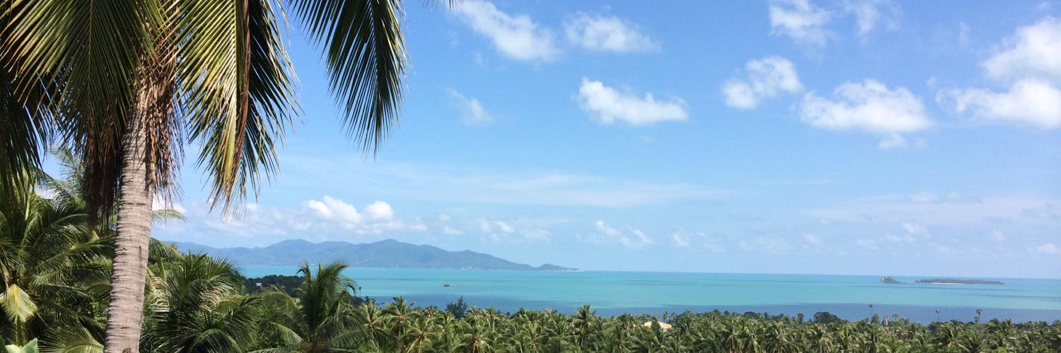 This guy's the limit banner