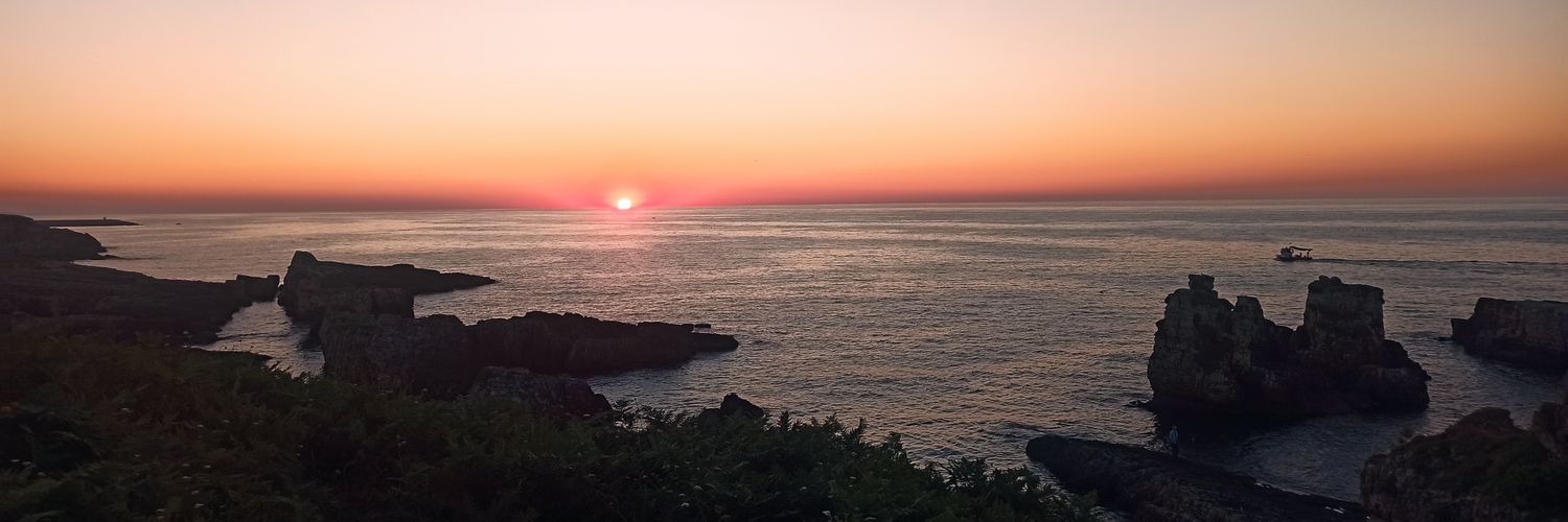 Soner içöz banner