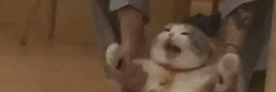 Epic_Joyful's profile banner image