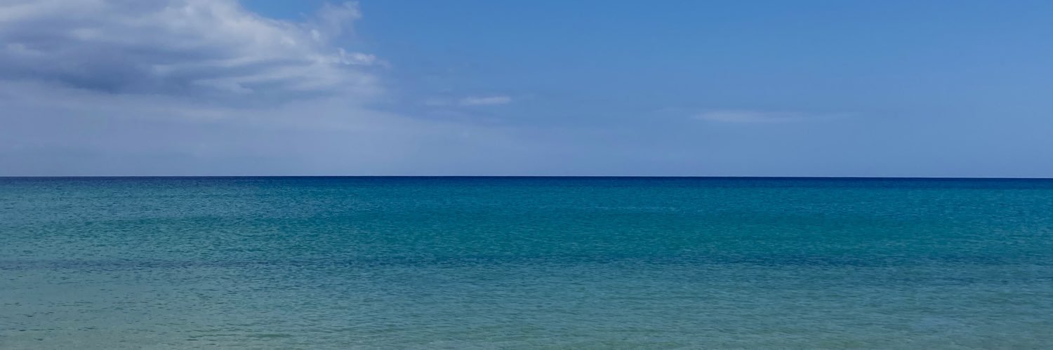 luisaklut's profile banner image
