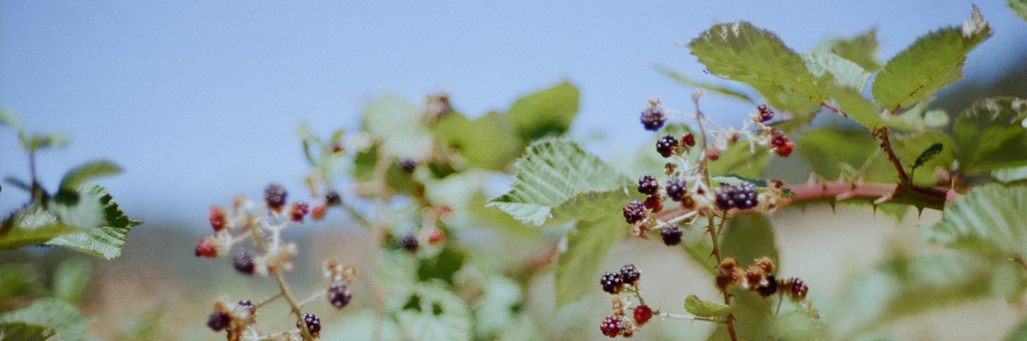 Eddemental's profile banner image