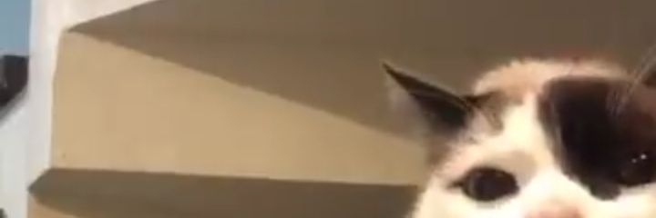 JAMEGO11's profile banner image