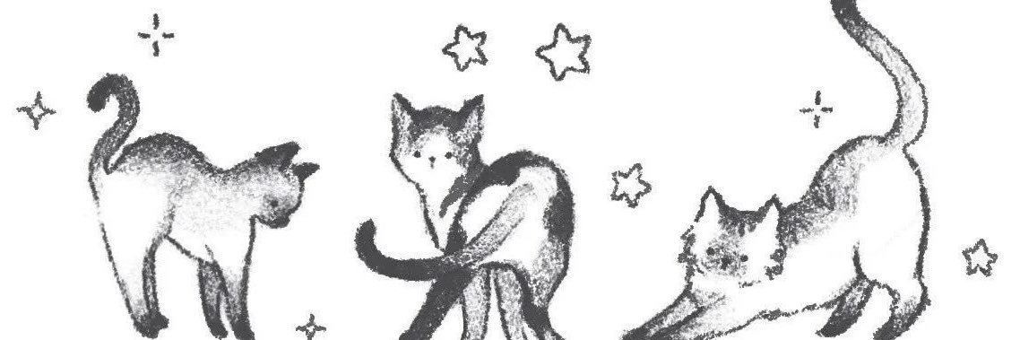 siriaras's profile banner image