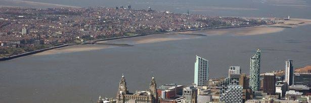 Lisa Marie Rand banner