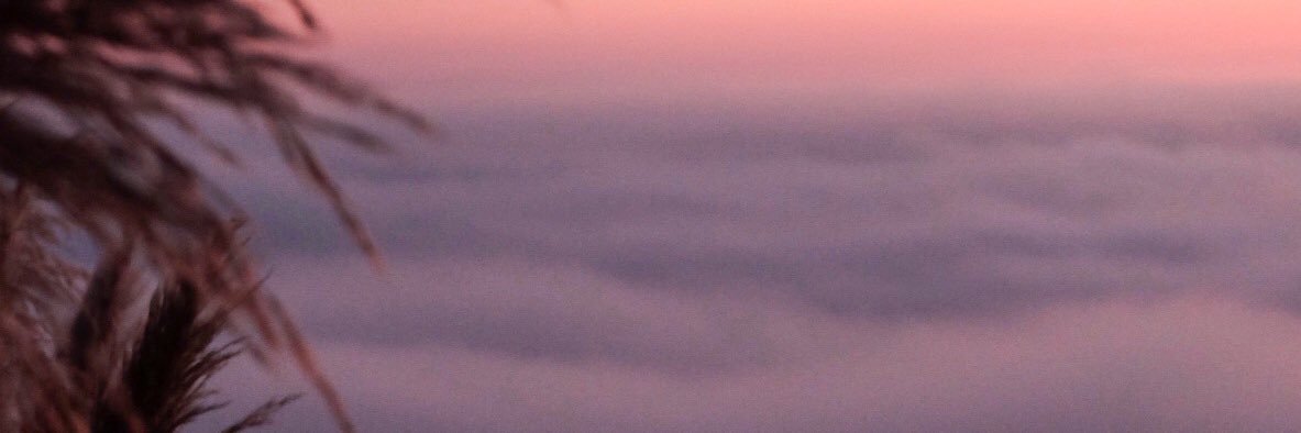 Dandy_lionn's profile banner image