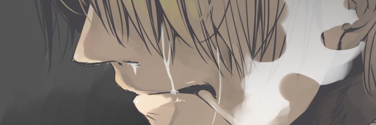 luffy21_S's profile banner image