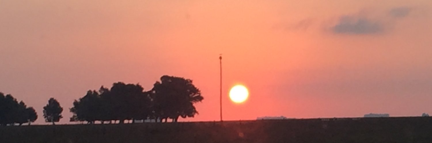 Griselda Uruñuela banner