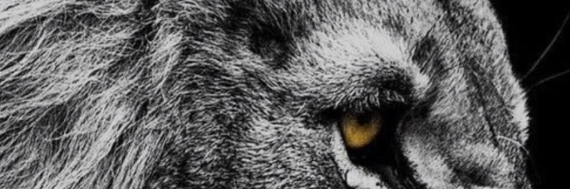 DeMus1c98's profile banner image
