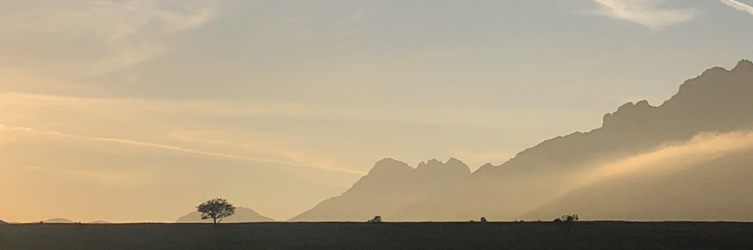 tomespag's profile banner image