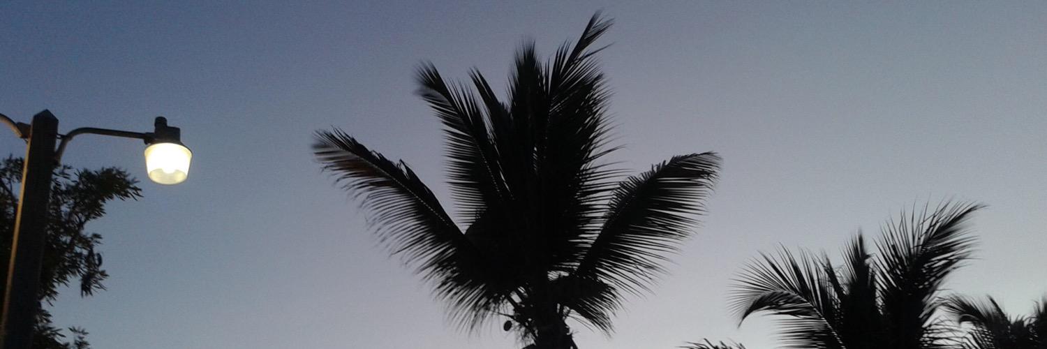 aaaaddriana's profile banner image