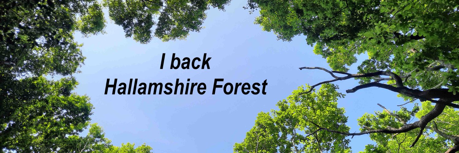 Sheffield Environmental banner