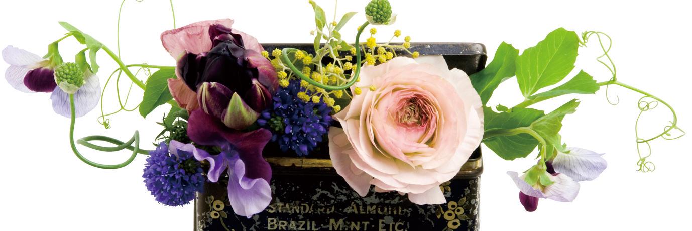 侘助（わびすけ） banner