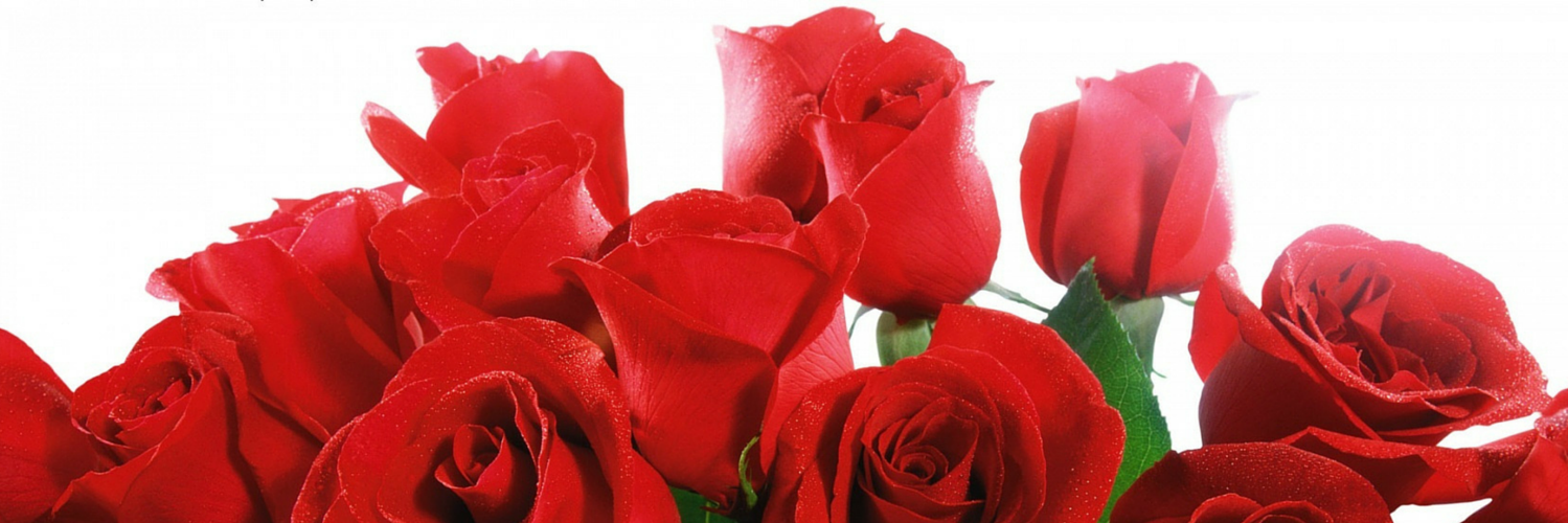 Betchlorettes's profile banner image