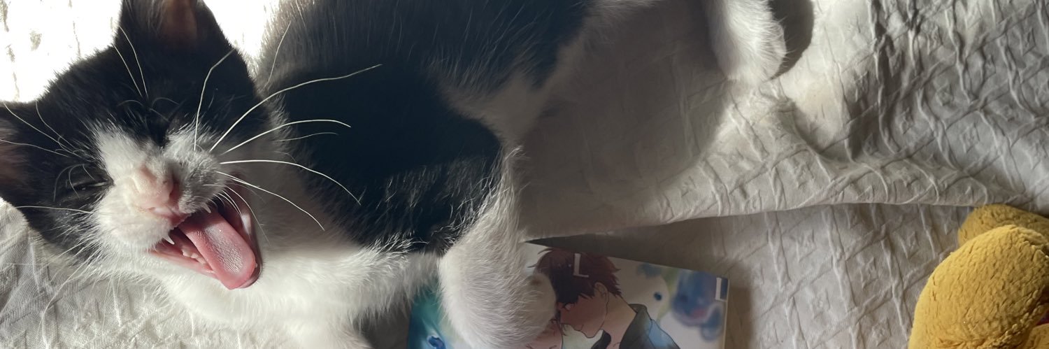 Cucurruca's profile banner image
