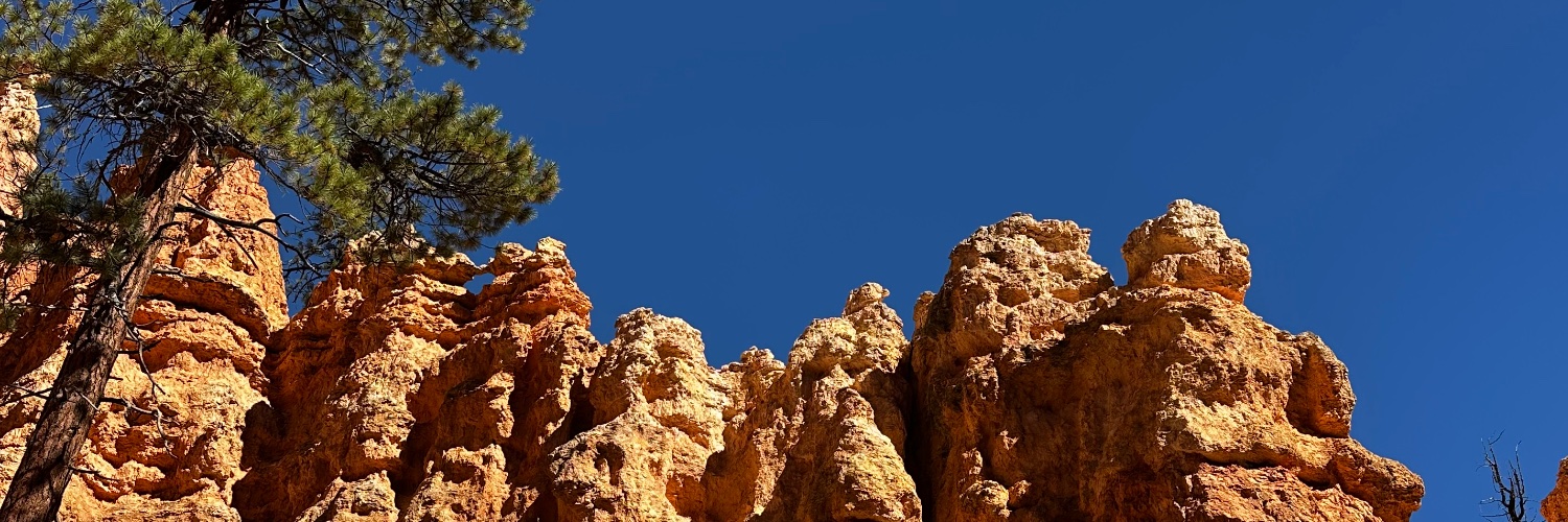 CarterHarms's profile banner image